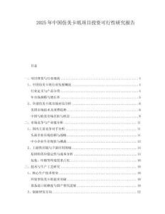 2025年中国仿美卡纸项目投资可行性研究报告