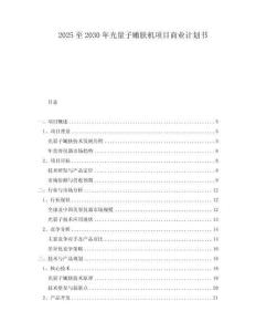 2025至2030年光量子嫩肤机项目商业计划书