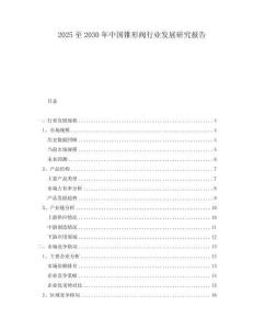 2025至2030年中国锥形阀行业发展研究报告