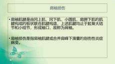 肩关节损伤康复策略培训课件