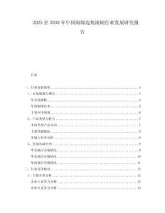2025至2030年中国海绵边角滚刷行业发展研究报告