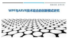 WPF与ARVR技术结合的创新模式研究-洞察剖析