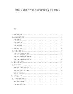 2025至2030年中国直柄气铲行业发展研究报告