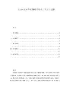 2025-2030年紅銅端子管項目商業(yè)計劃書