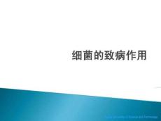 《细菌学》3细菌的致病作用