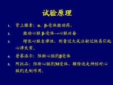 心律不齐治疗研究进展培训课件