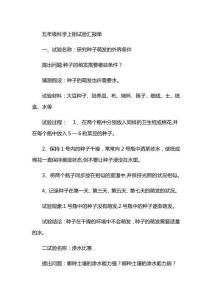 2025年五年级科学实验操作记录与报告