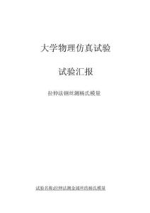 2025年单摆实验测定重力加速度详细解析与数据记录