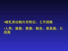 寰枢椎关节半脱位治疗攻略培训课件