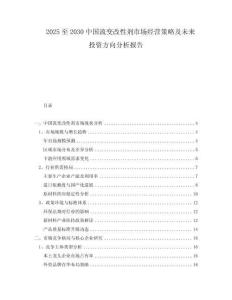 2025至2030中国流变改性剂市场经营策略及未来投资方向分析报告