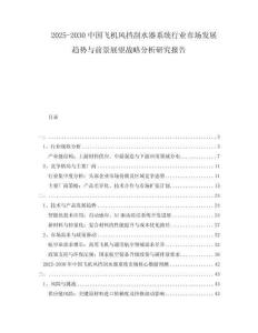 2025-2030中国飞机风挡刮水器系统行业市场发展趋势与前景展望战略分析研究报告