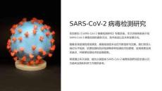 《SARS-CoV-2病毒检测研究》课件
