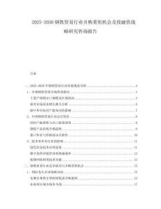 2025-2030钢铁贸易行业并购重组机会及投融资战略研究咨询报告