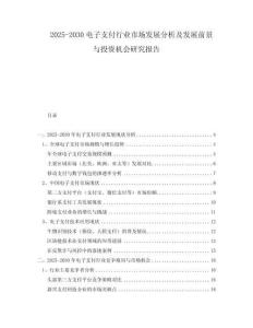 2025-2030电子支付行业市场发展分析及发展前景与投资机会研究报告