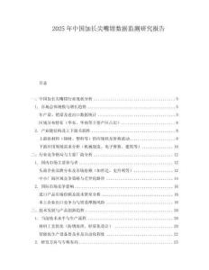 2025年中国加长尖嘴钳数据监测研究报告