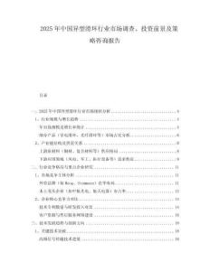 2025年中国异型滑环行业市场调查、投资前景及策略咨询报告