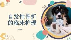 自发性骨折的临床护理