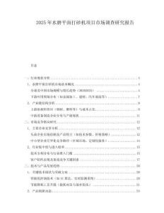 2025年水磨平面打砂机项目市场调查研究报告