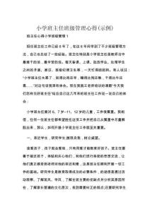 小学班主任班级管理心得(示例)