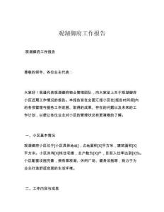 观湖御府工作报告