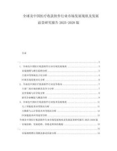 全球及中国医疗收款软件行业市场发展现状及发展前景研究报告2025-2028版