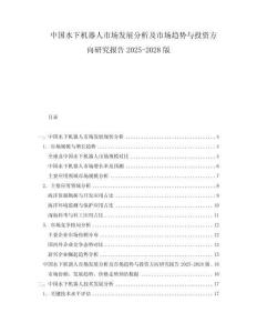 中国水下机器人市场发展分析及市场趋势与投资方向研究报告2025-2028版