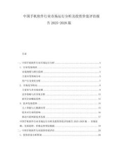 中国手机软件行业市场运行分析及投资价值评估报告2025-2028版