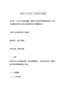 如何写专项工作报告模板