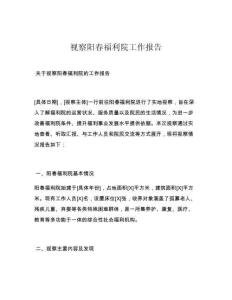 视察阳春福利院工作报告