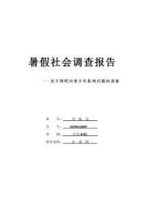 對(duì)網(wǎng)吧對(duì)青少年影響問題的調(diào)查