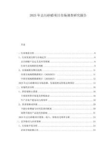 2025年去污砂蜡项目市场调查研究报告