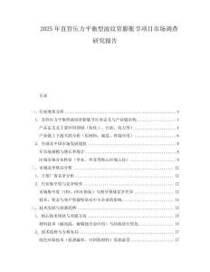 2025年直管压力平衡型波纹管膨胀节项目市场调查研究报告