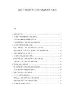 2025年锡青铜板材项目市场调查研究报告