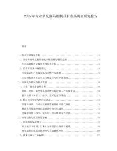 2025年专业单反数码相机项目市场调查研究报告