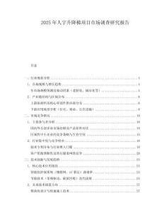2025年人字升降梯项目市场调查研究报告