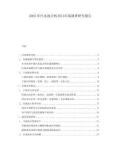 2025年汽水混合机项目市场调查研究报告