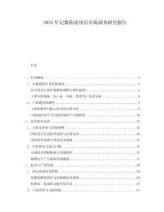 2025年记数圆表项目市场调查研究报告