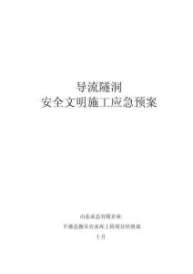 2025年隧洞施工安全与环保突发应对预案