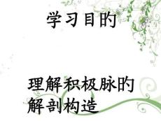 2025年主动脉结构解析与详细剖析培训课件
