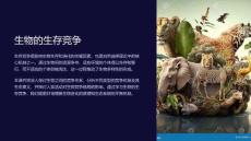 《生物的生存竞争》课件