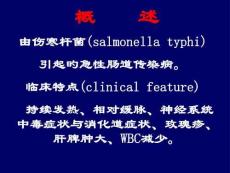 伤寒副伤寒防治攻略培训课件