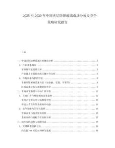 2025至2030年中国夹层防弹玻璃市场分析及竞争策略研究报告