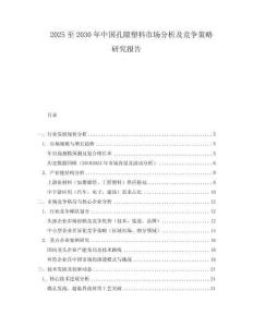 2025至2030年中国孔隙塑料市场分析及竞争策略研究报告