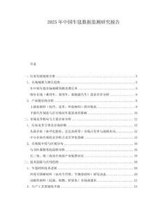 2025年中国车毯数据监测研究报告