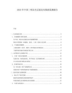 2025年中国三明治夹层提花布数据监测报告