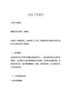 北辰工作报告