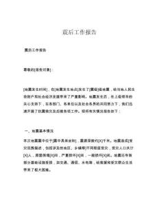 震后工作报告