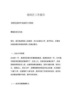 涧西区工作报告