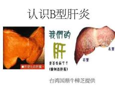 乙肝真相揭秘全面乙肝防护攻略培训课件