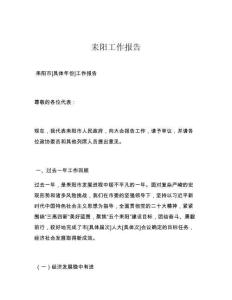 耒阳工作报告